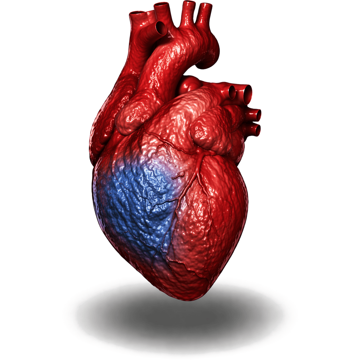 Irreversible tissue damage